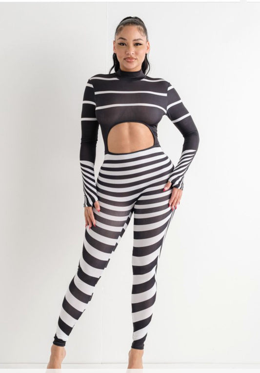 ZEBRA CHIC