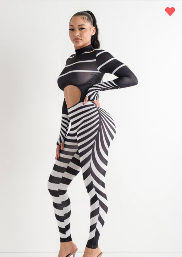 ZEBRA CHIC