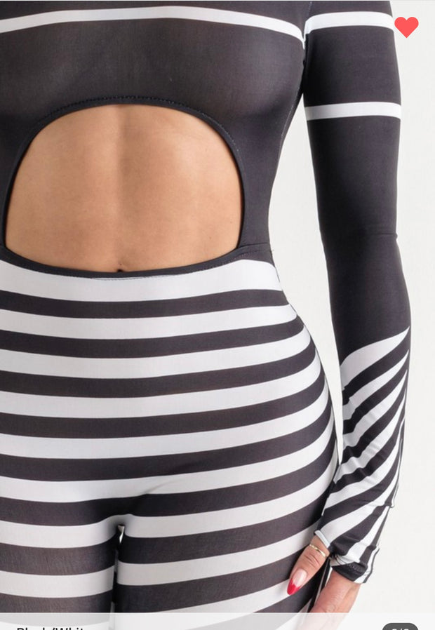 ZEBRA CHIC