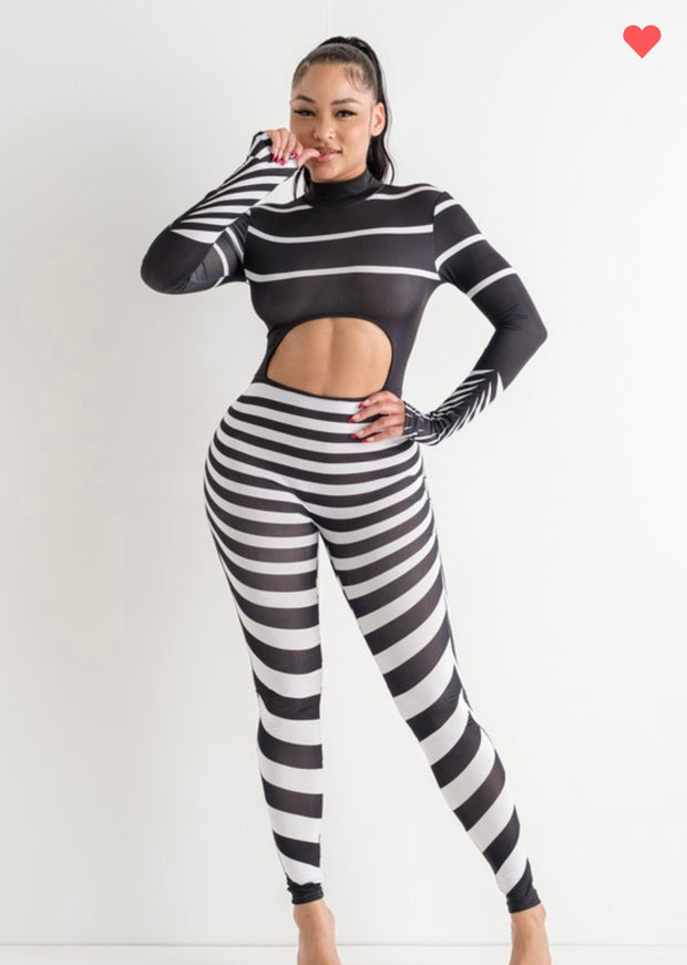 ZEBRA CHIC