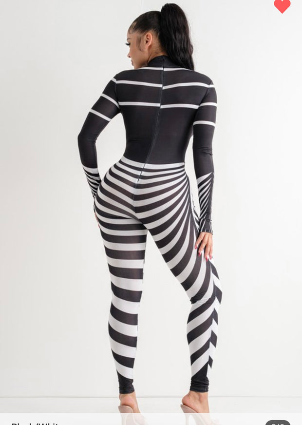 ZEBRA CHIC